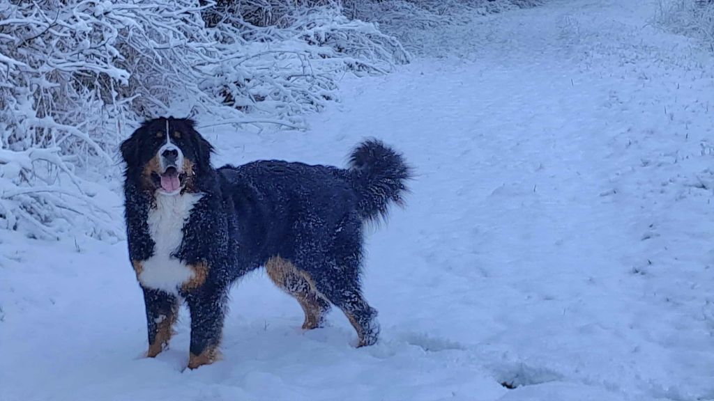 Viva  pays maichois du logis sainte macrine