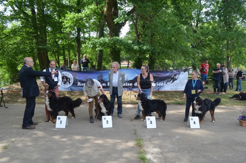 RE sarlat 2et 3 mai 2026