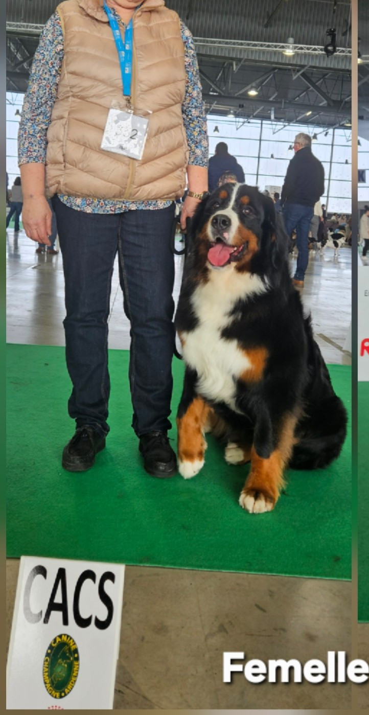 Viva cotée 3 grâce à ses très bons résultats en expo et ses excellents tests de santé !